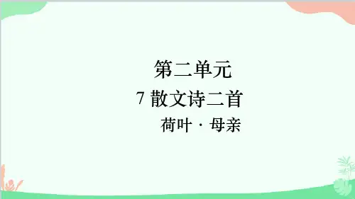 第7课 荷叶母亲 课件(共19张PPT) 统编版语文七年级上册