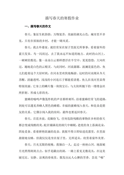 描写春天的寒假作业