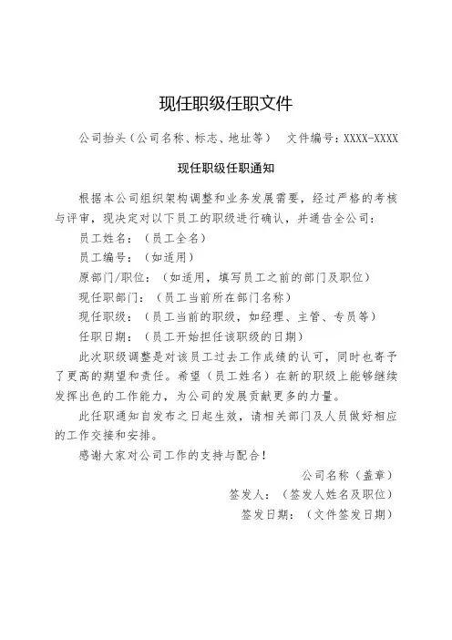 现任职级任职文件