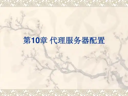第10章 代理服务器配置