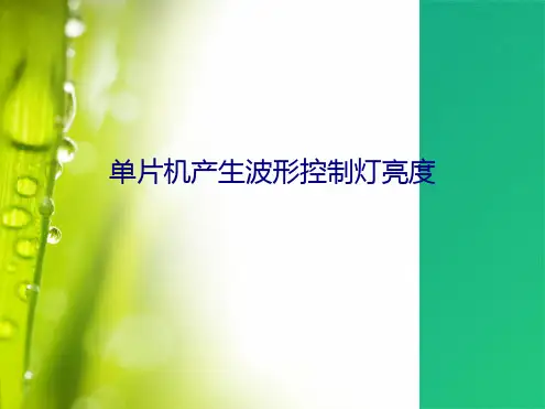 单片机产生波形控制灯亮度(共6张PPT)