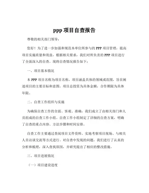 ppp项目自查报告