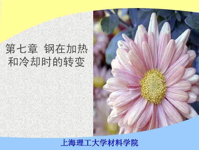 shenlong 第七章钢在加热 和冷却时的转变 上海理工大学材料学院 - 本
