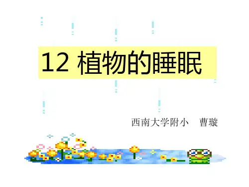 三年级语文植物的睡眠
