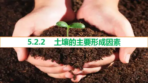 5.2.2土壤的主要形成因素 课件 高一地理人教版(2019)必修第一册
