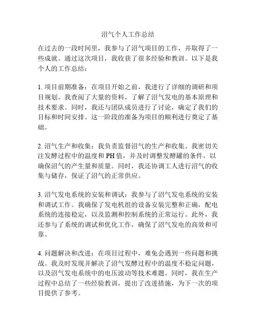 沼气个人工作总结