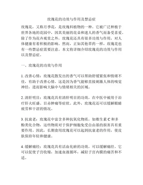 玫瑰花的功效与作用及禁忌症