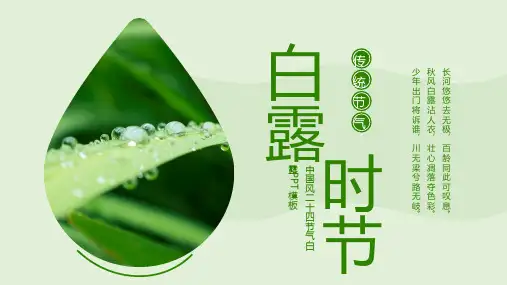 二十四节气白露PPT模板