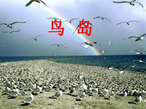 鸟岛 第一课时PPT
