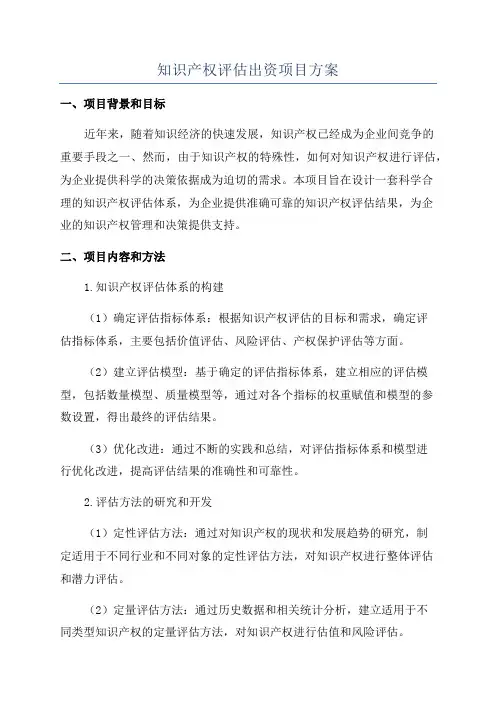 知识产权评估出资项目方案