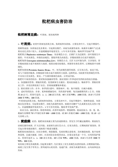 枇杷树病虫防治