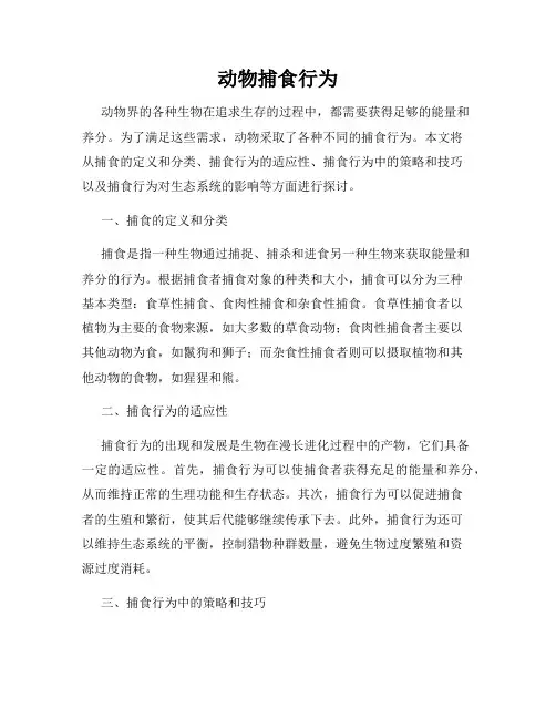动物捕食行为