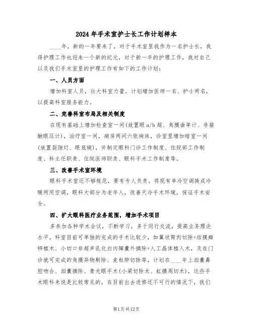 2024年手术室护士长工作计划样本(5篇)