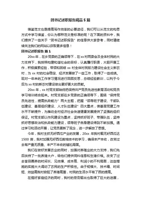 团书记述职报告精品5篇