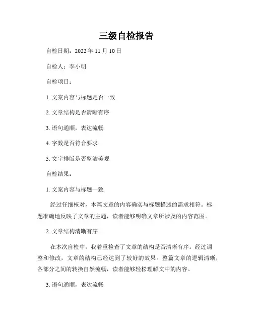 三级自检报告