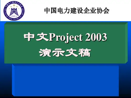 Project2003 教程(2013最终版本)
