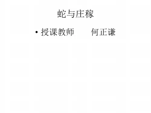 蛇与庄稼