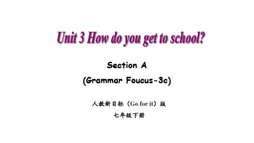 人教版英语七年级下册Unit 3  Section A (Grammar Focus—3c)课件 