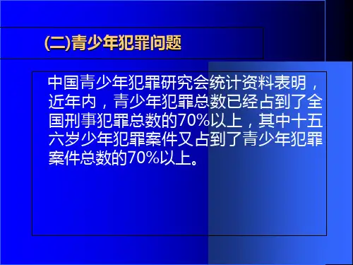 治安管理处罚法讲义第三章第四五节