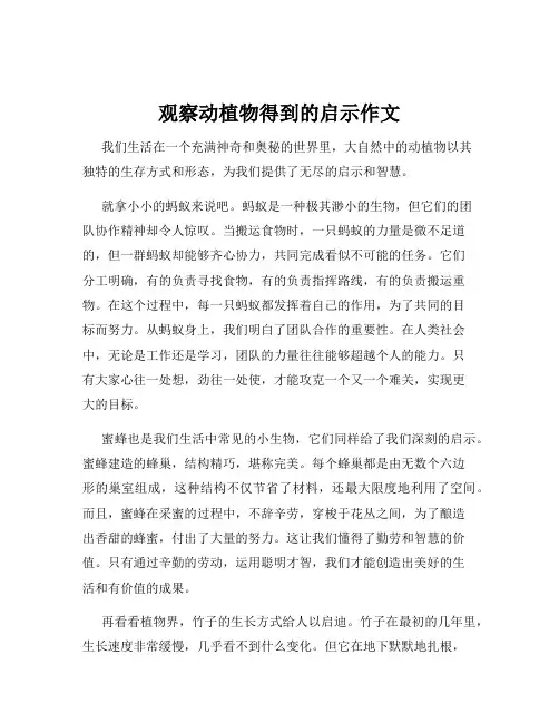 观察动植物得到的启示作文
