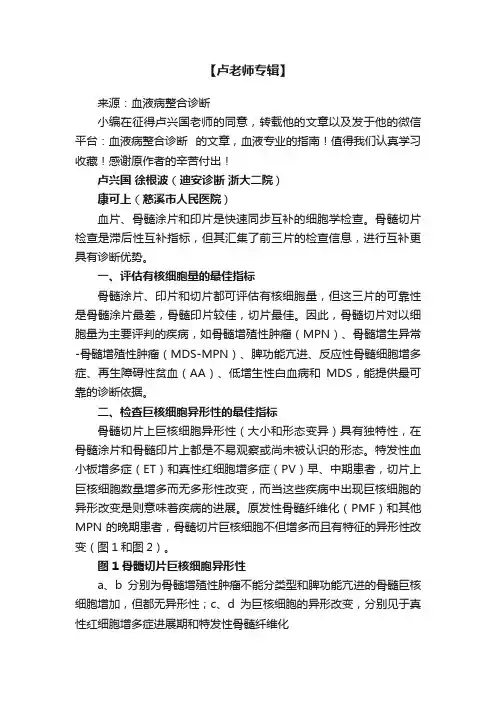 【卢老师专辑】