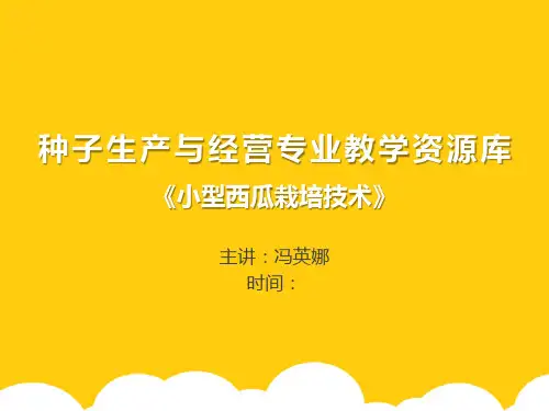 小型西瓜栽培技术ppt实用资料