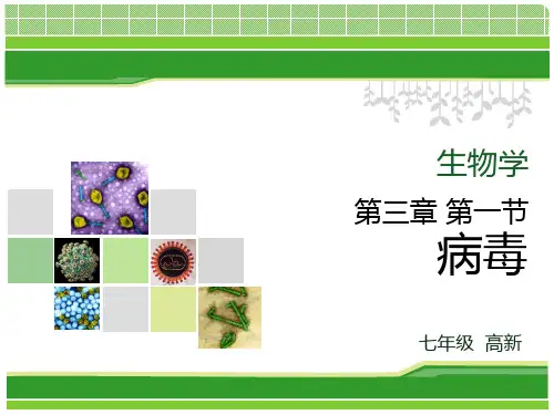 济南版七年级生物上册2.3.1《病毒》 (共18张PPT)