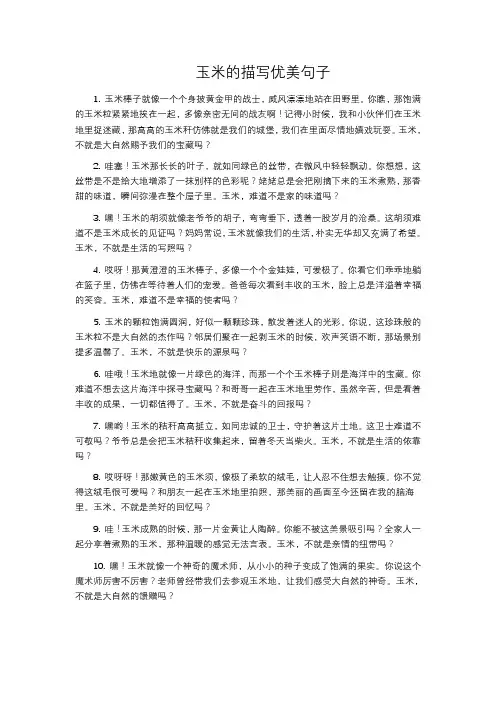 玉米的描写优美句子