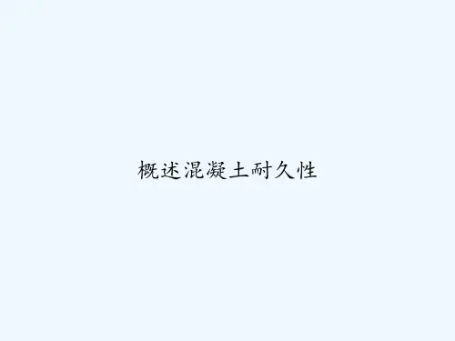 概述混凝土耐久性 PPT