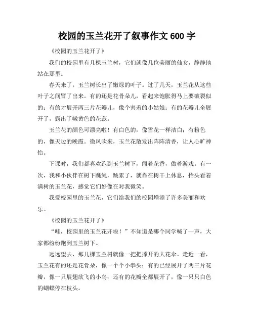 校园的玉兰花开了叙事作文600字