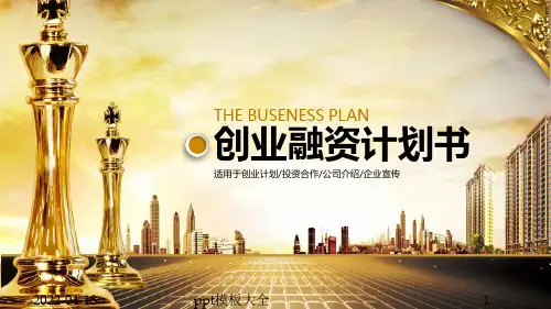 PPT模板融资路演 (5)