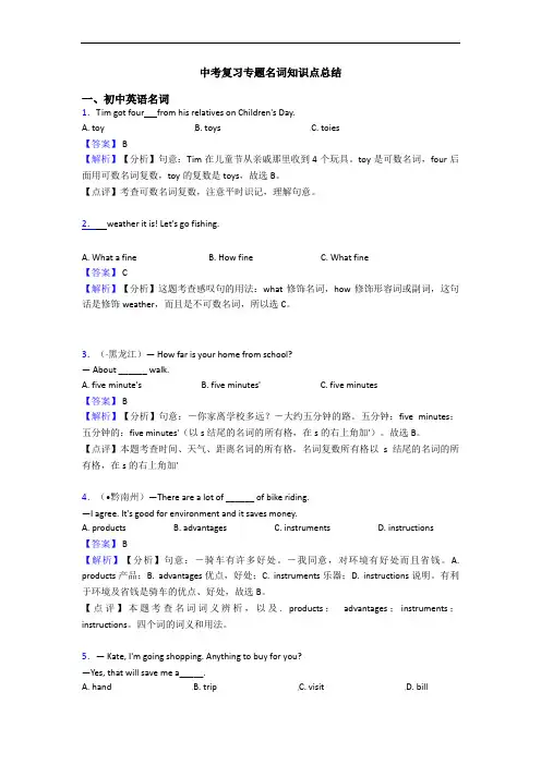 中考复习专题名词知识点总结