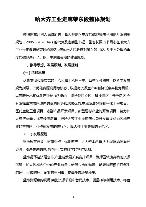 哈大齐工业走廊肇东段整体规划(全文)