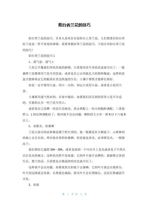 阳台养兰花的技巧