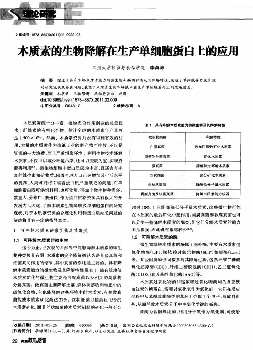 木质素的生物降解在生产单细胞蛋白上的应用