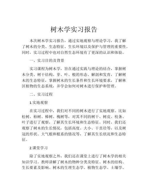 树木学实习报告