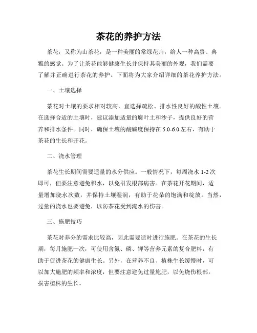 茶花的养护方法
