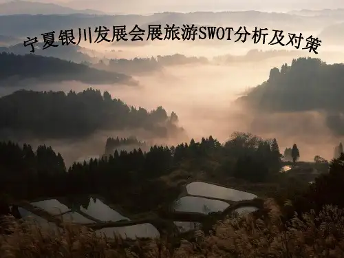 宁夏银川SWOT分析