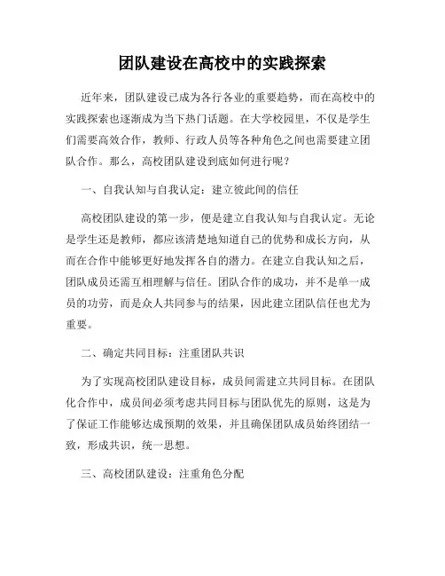 团队建设在高校中的实践探索