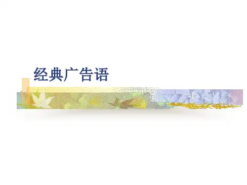 经典广告语(PPT13).pptx