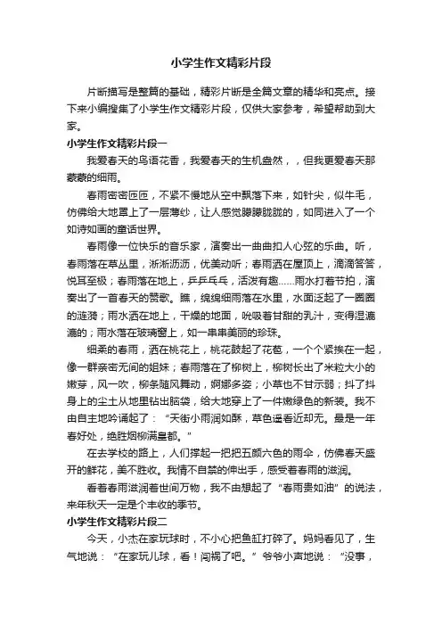 小学生作文精彩片段