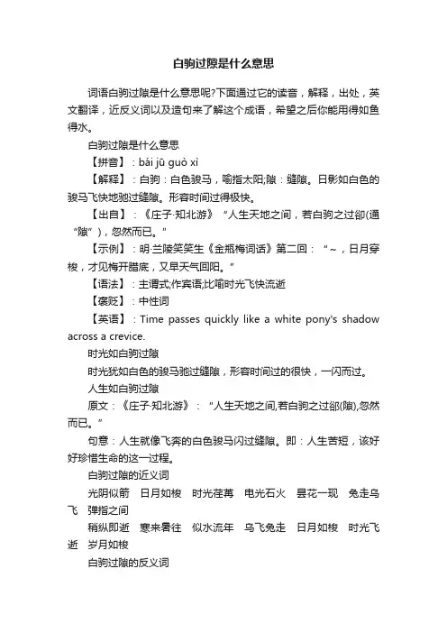 白驹过隙是什么意思