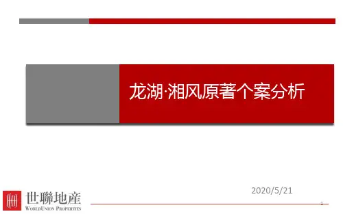 20130629__龙湖湘风原著个案分析