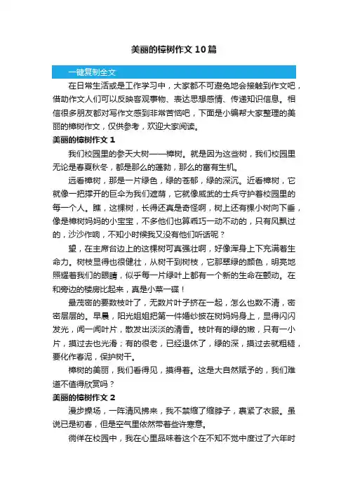 美丽的樟树作文10篇
