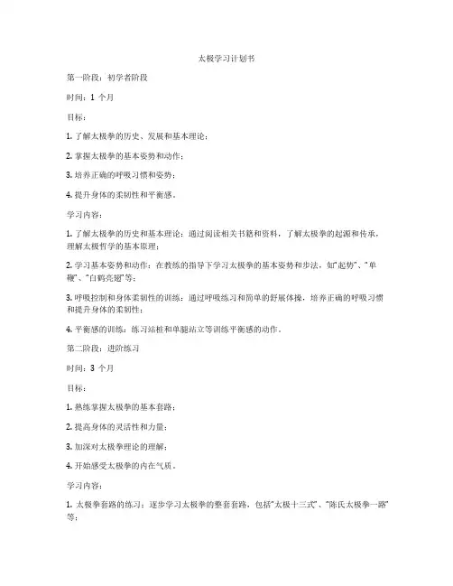太极学习计划书