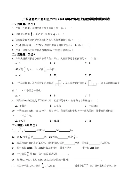 广东省惠州市惠阳区2023-2024学年六年级上册数学期中模拟试卷