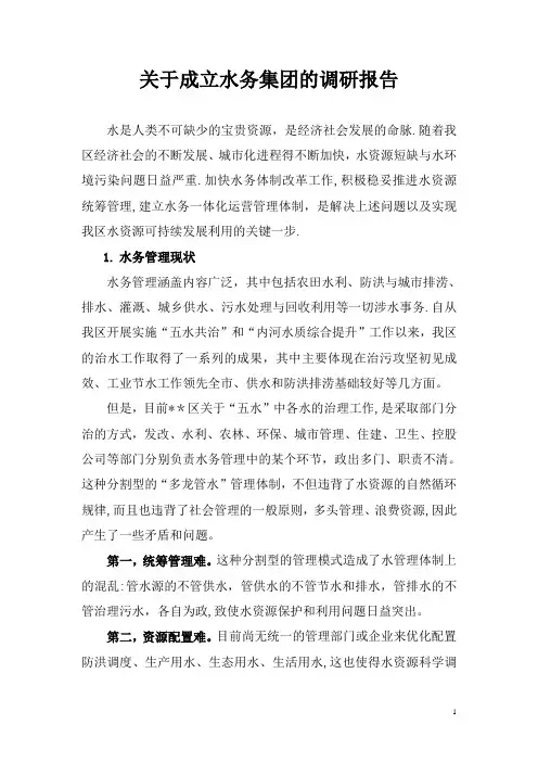 水务集团调研报告【范本模板】