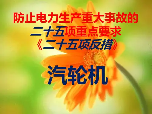 防止电力生产重大事故的二十五项反措PPT课件
