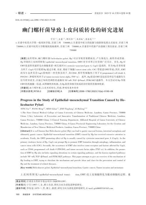 幽门螺杆菌导致上皮间质转化的研究进展