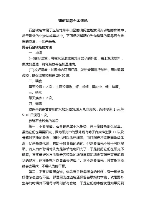 如何饲养石金钱龟